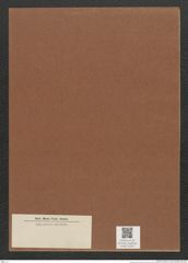 Diatomeae indet. Zeichnungen Sammlung Grunow Mappe 02351 (Herbarium_W_Grunow_drawings_Folder_02351)